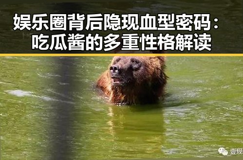 娱乐圈背后隐现血型密码：吃瓜酱的多重性格解读